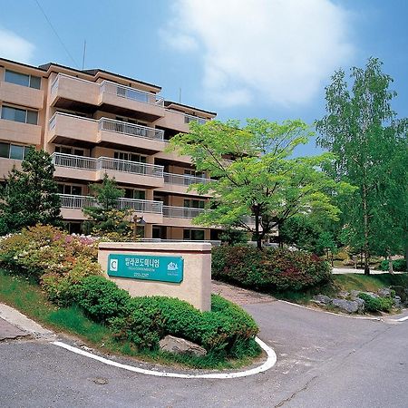 Yongpyong Resort Villa Condominium 平昌 外观 照片